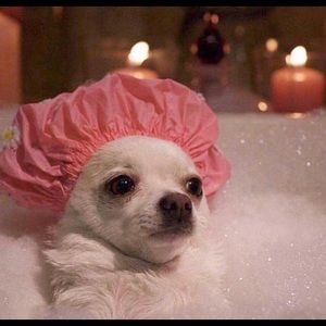 Meet your Posher, Kenisha